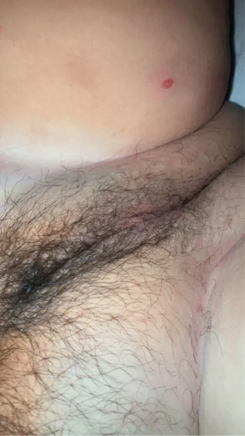 Full bush coming along nicely