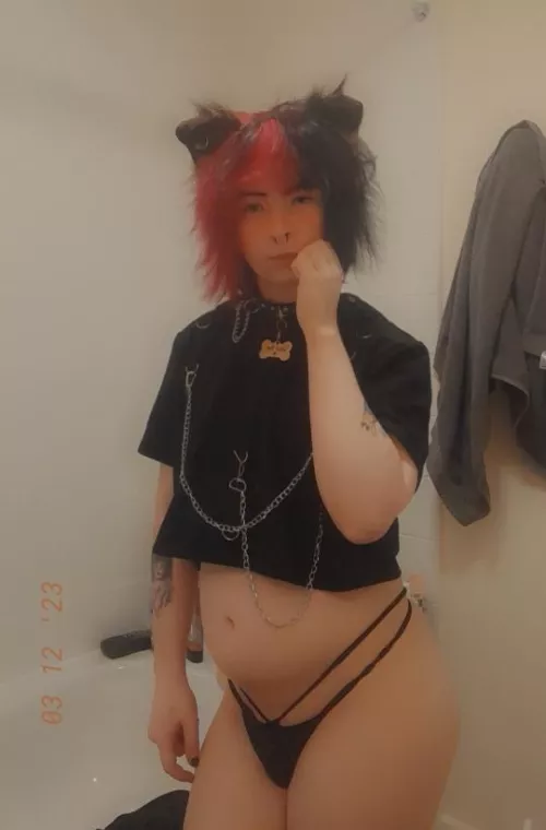 Hai I'm new , I'm a puppy boy :3