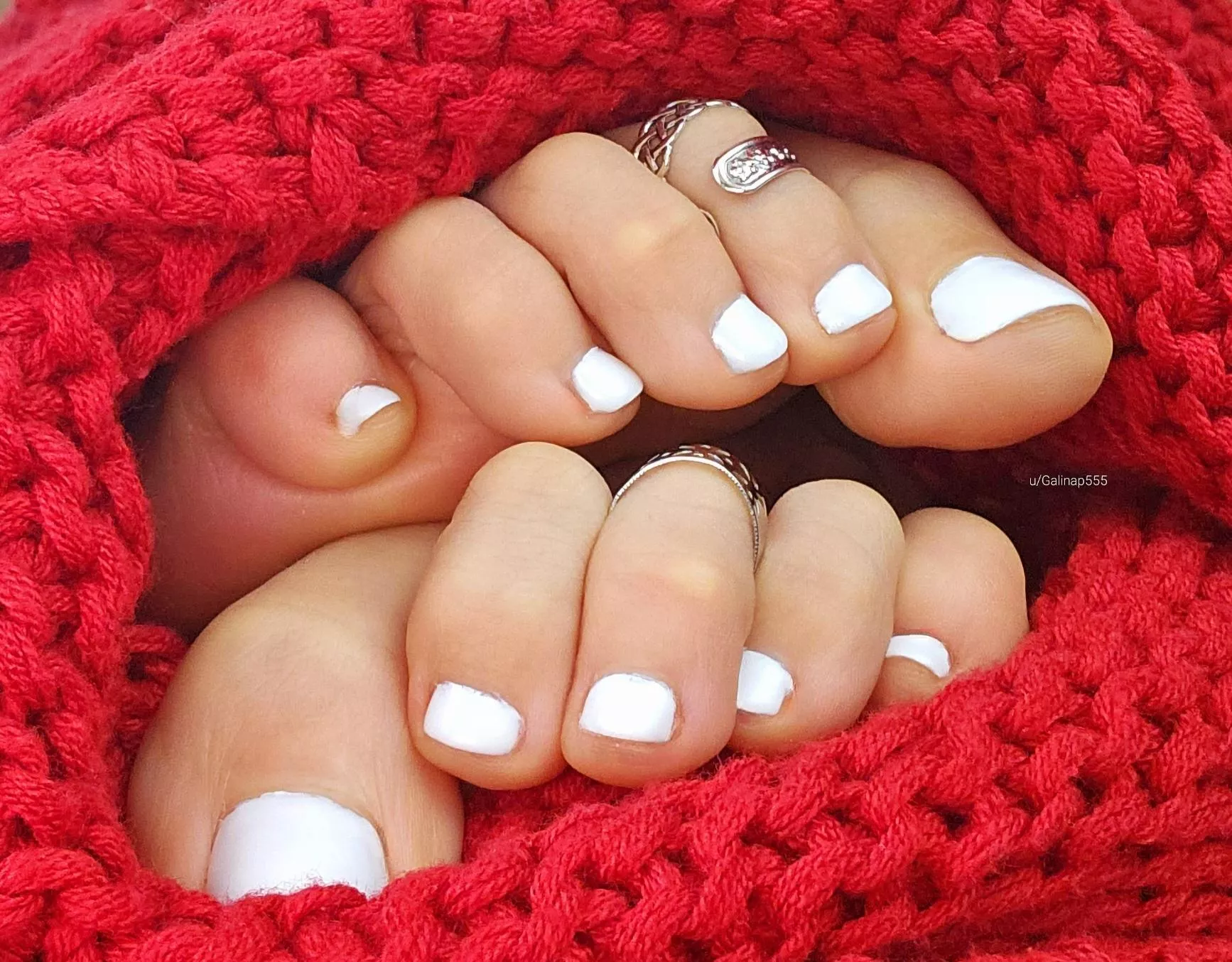 Here's 10 white cuties, happy Sunday!