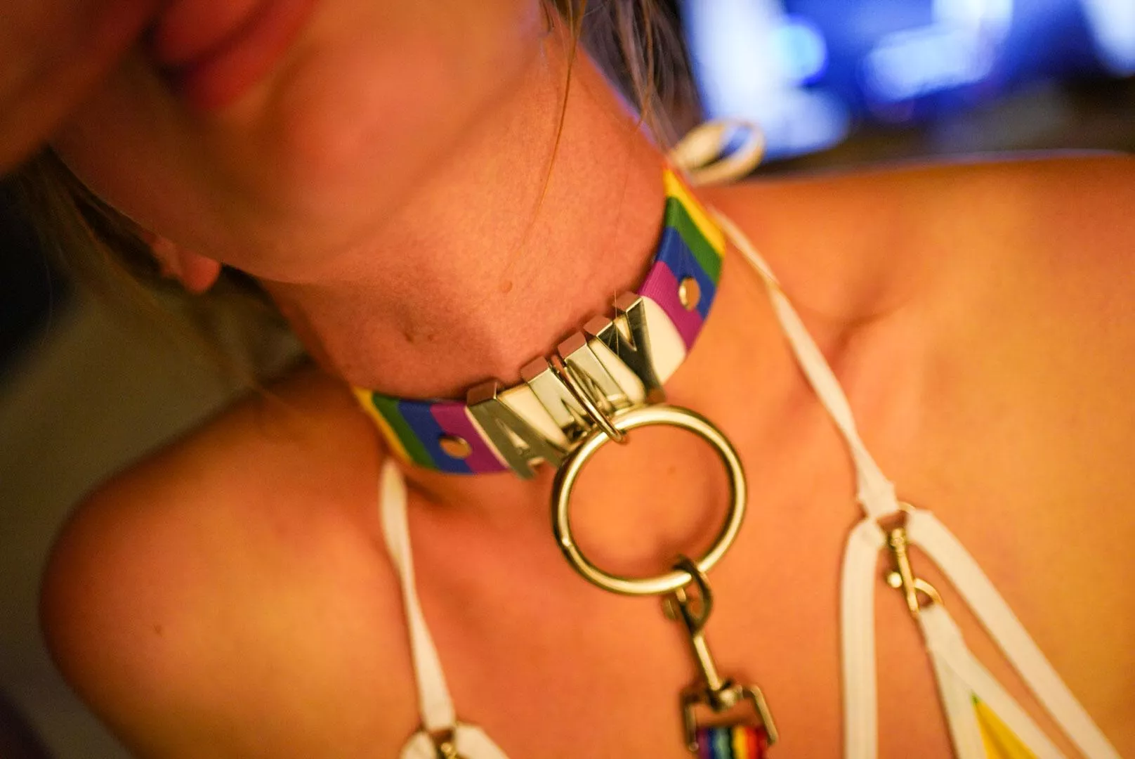 I got given my own collar for being good 😊