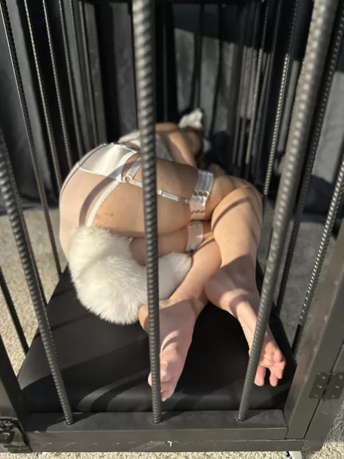 I was a bad little kitty, Please punish me.