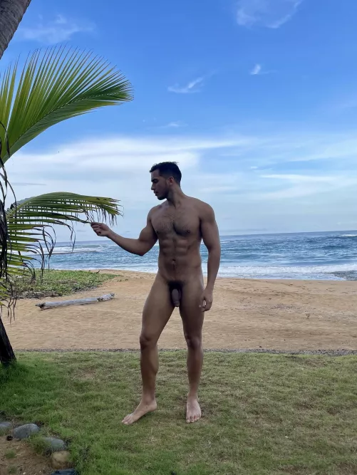 Life is better at the beach [26]