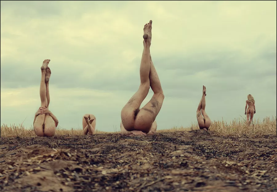 Strange fruit is growing in the field