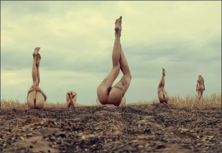 Strange fruit is growing in your field