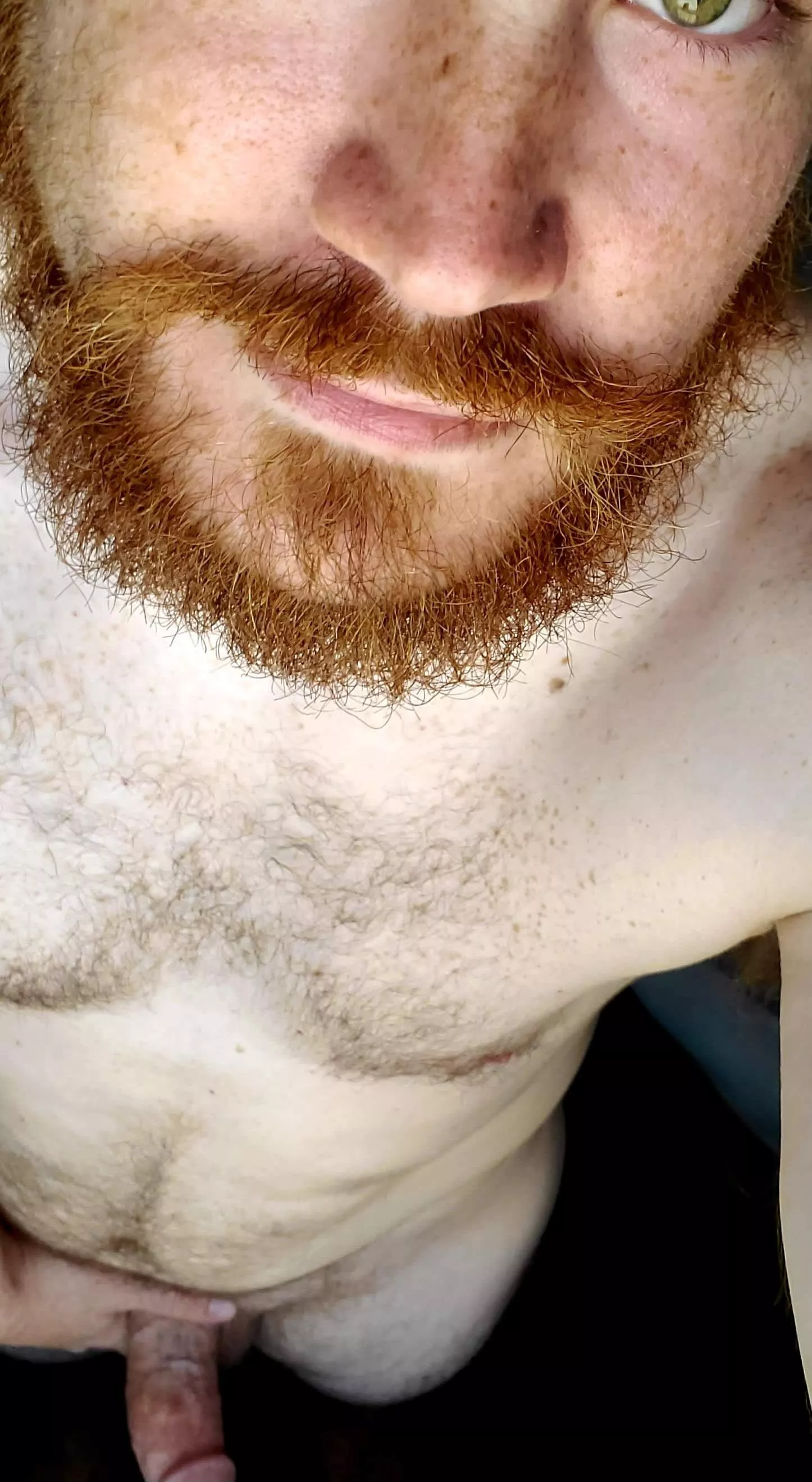 Trying to keep that Monday far away [36]