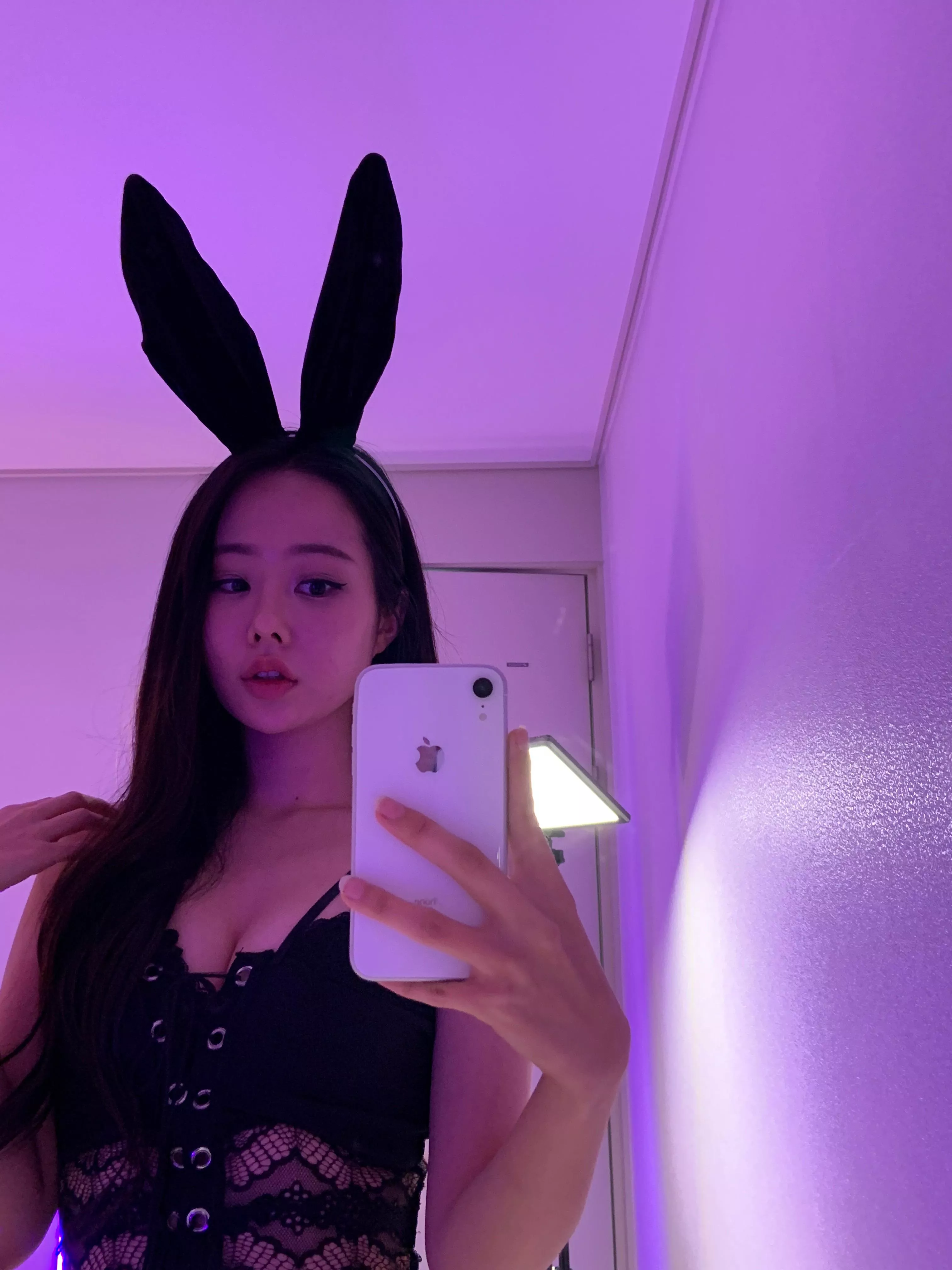 Who ordered an Asian bunny?