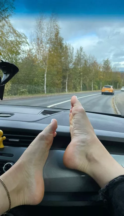 Would you be able to drive with me beside you like this?