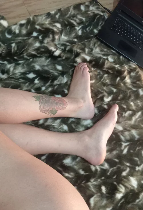 Would you suck my cute feet?