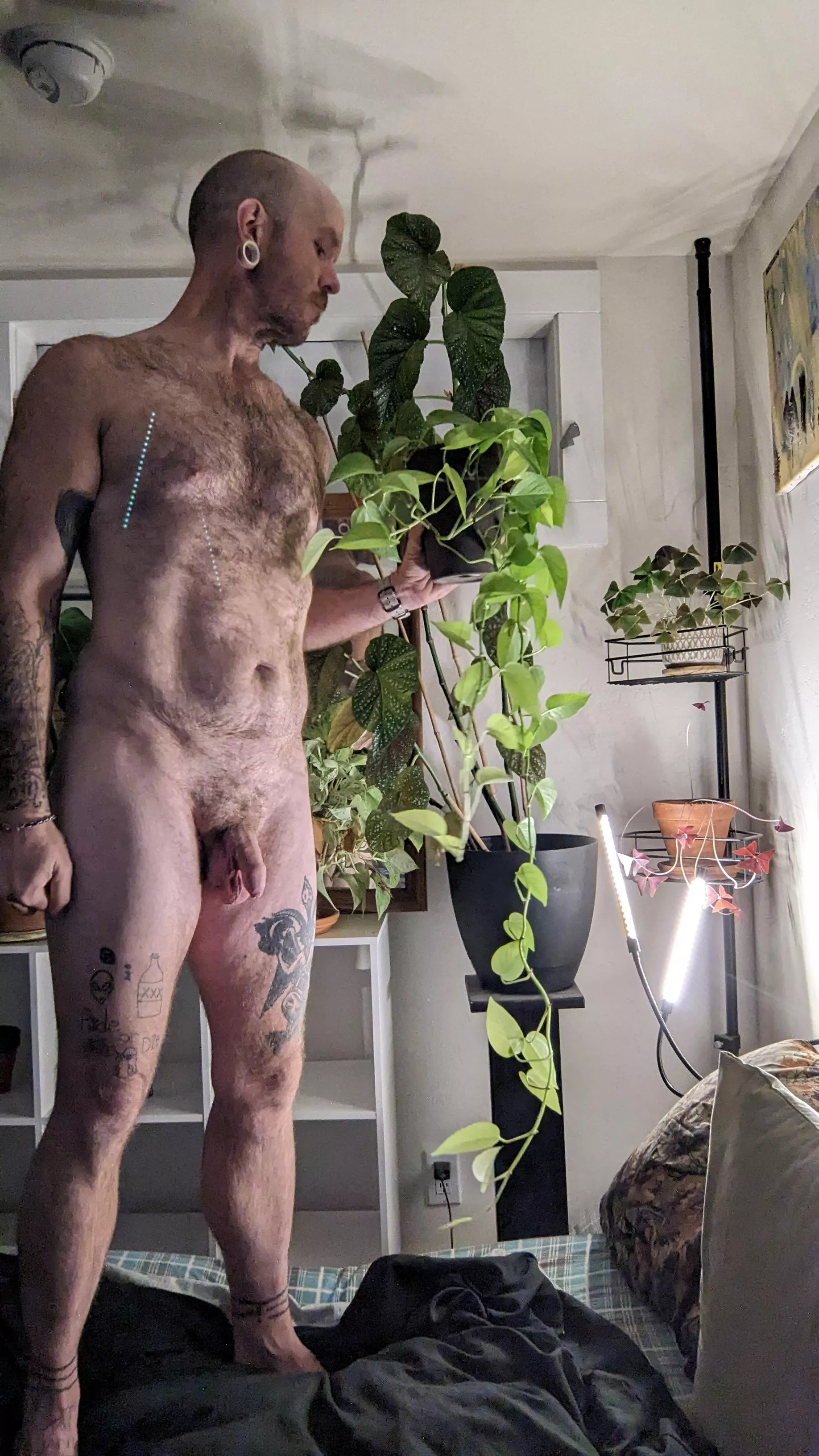 Wrapped up in plants