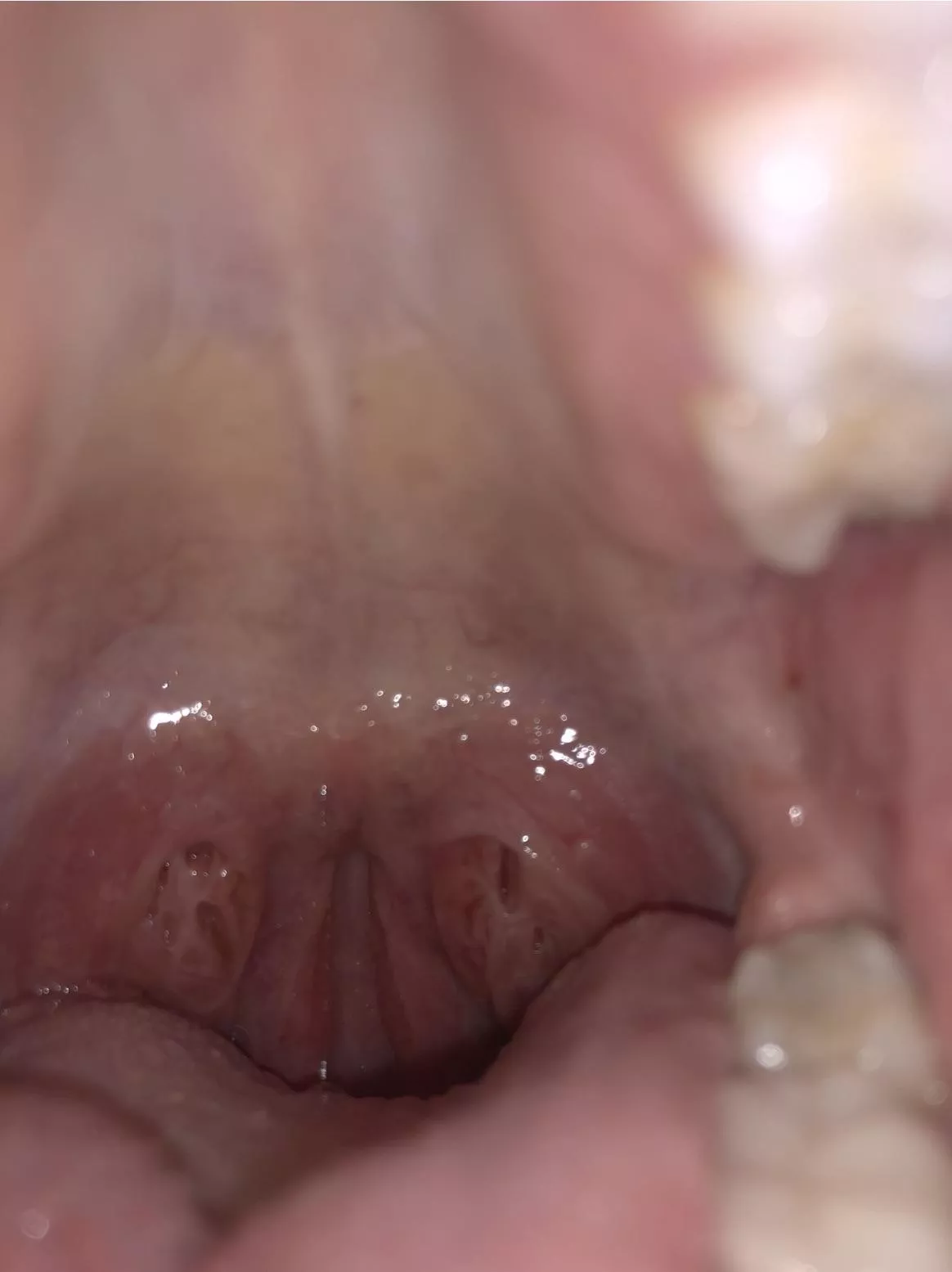 Your cocks POV right before I suck you dry