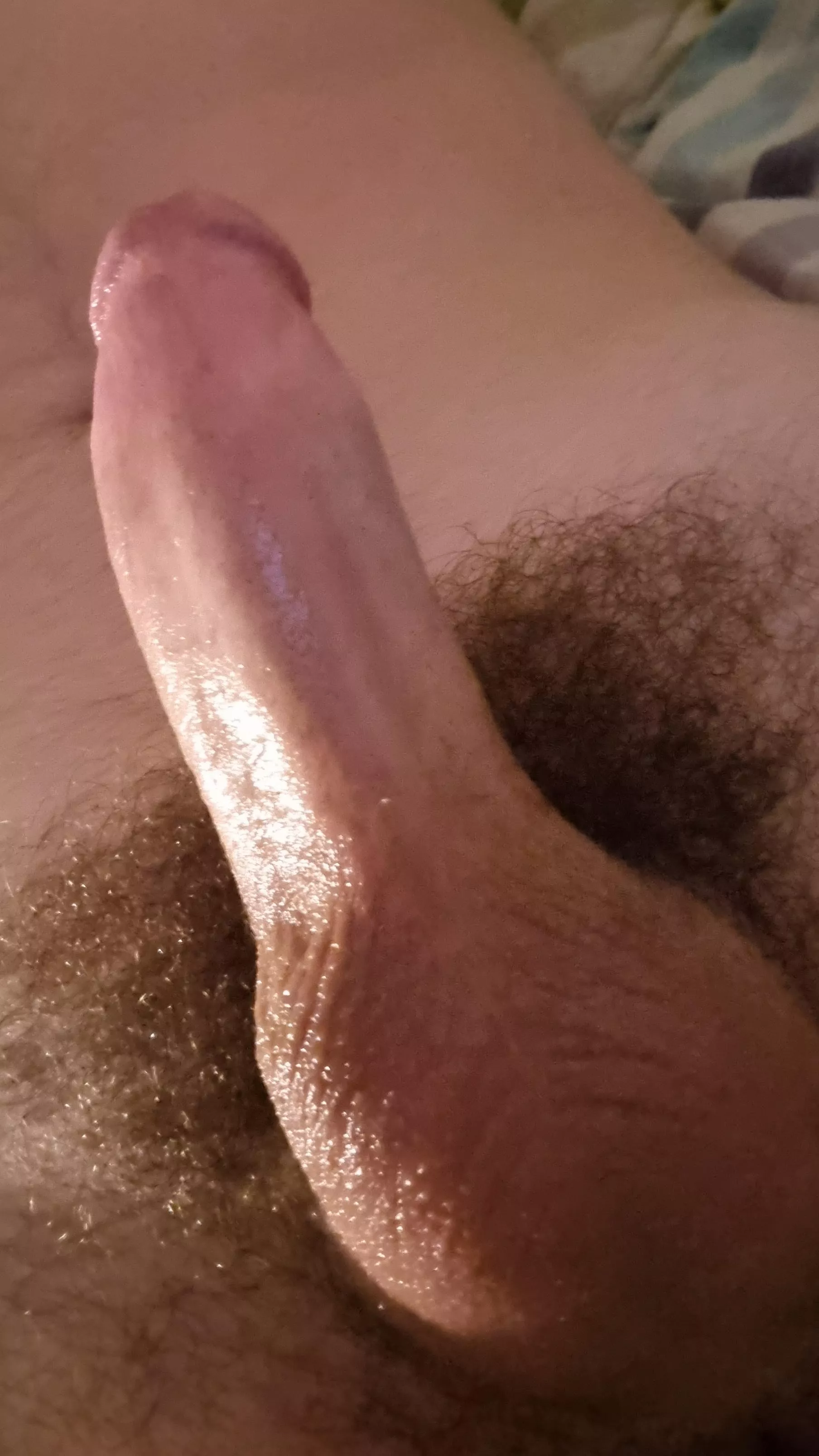 18 In need of a bottom. HMU with pic andrewcummyhole