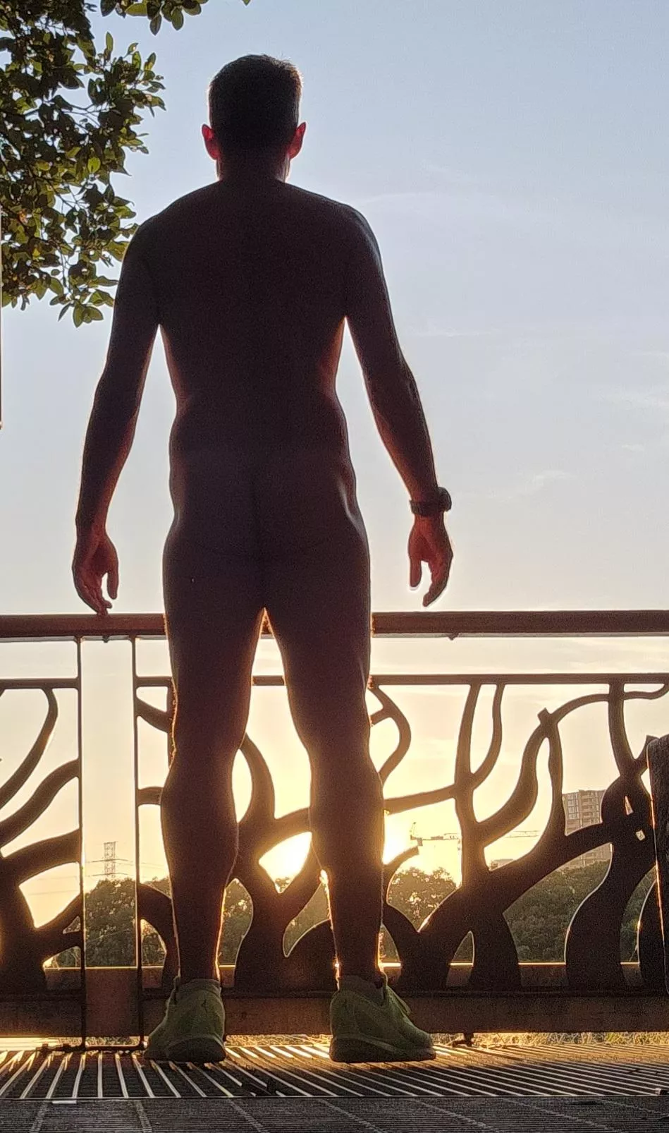 Admiring the harbour sunrise...