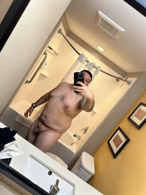 Any bears in Fort Lauderdale