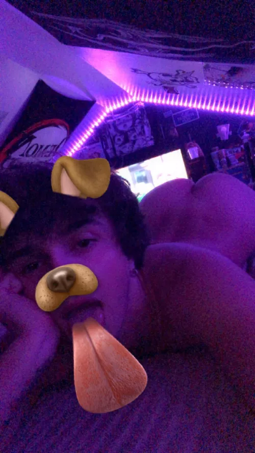 did i make anyone stop scrolling?