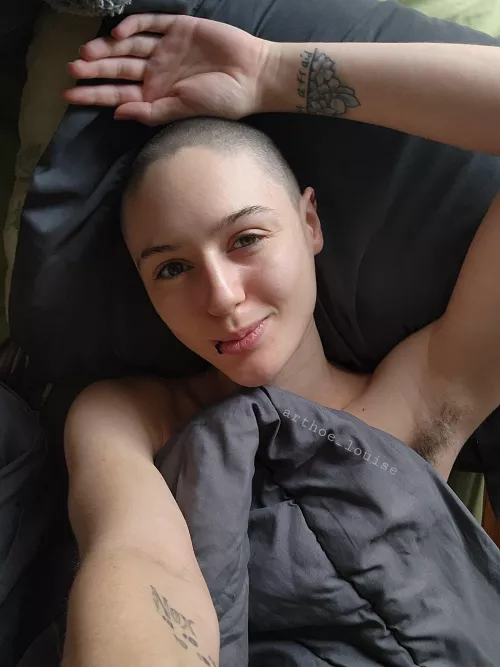 Good morning from the baldie in bed