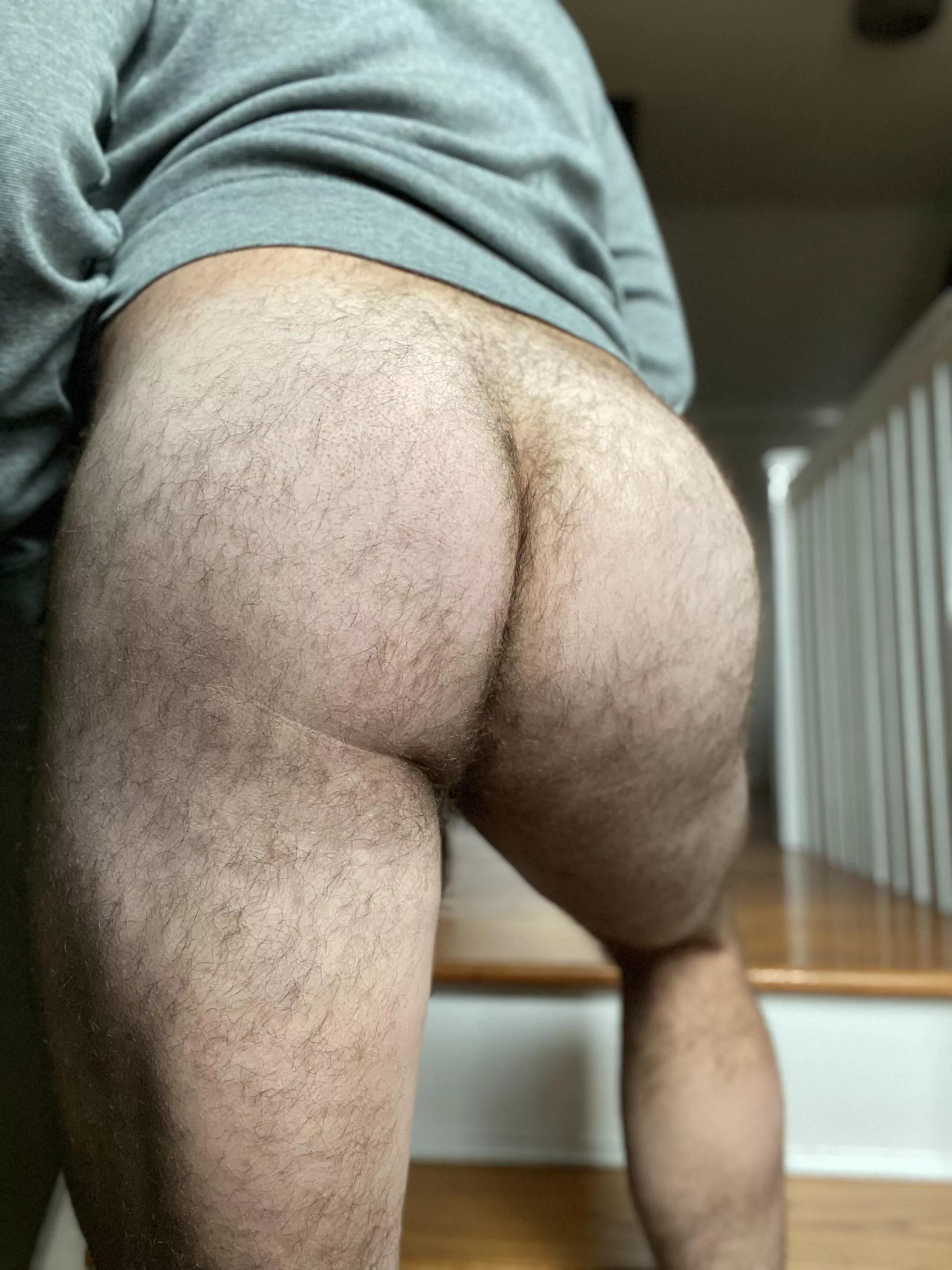 Haven’t posted in awhile. Is my ass still nice and hairy?