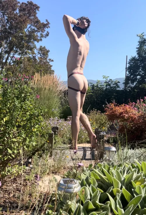 i almost got caught taking pics at the community garden 🙈