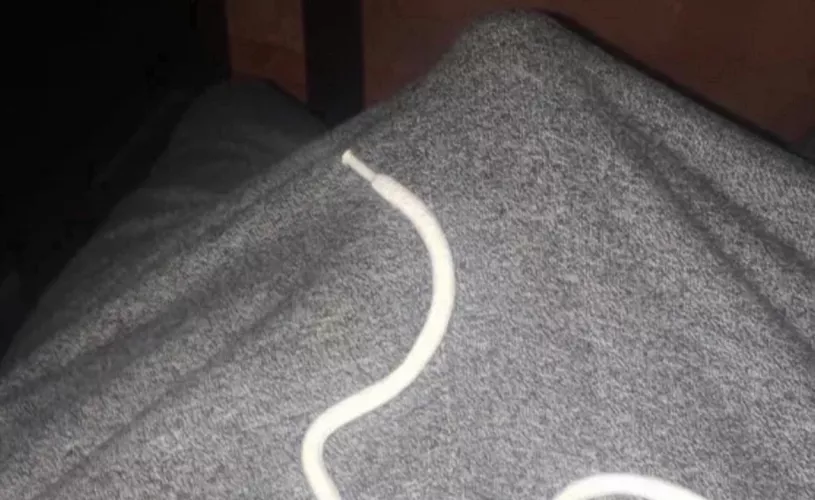 I catch your attention