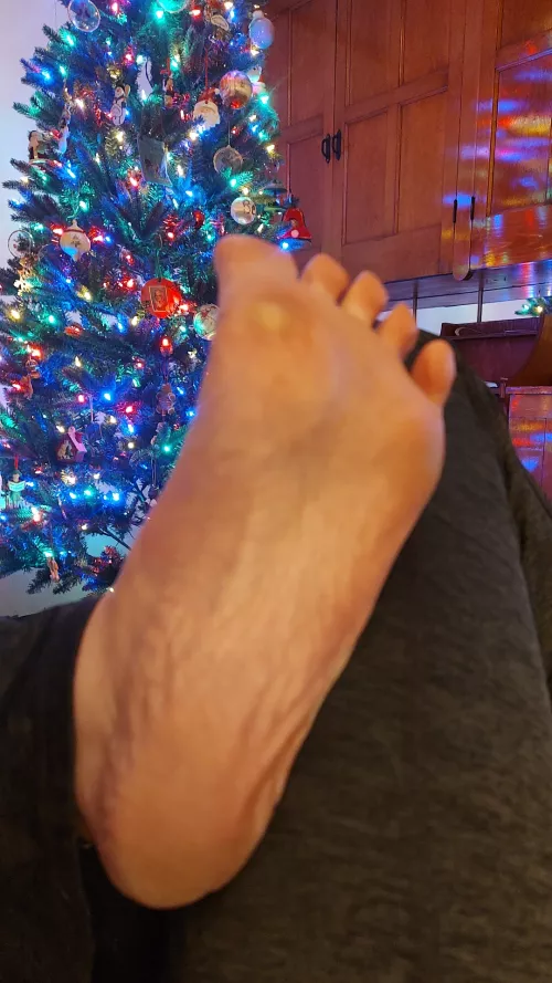 I think they need a good cleaning