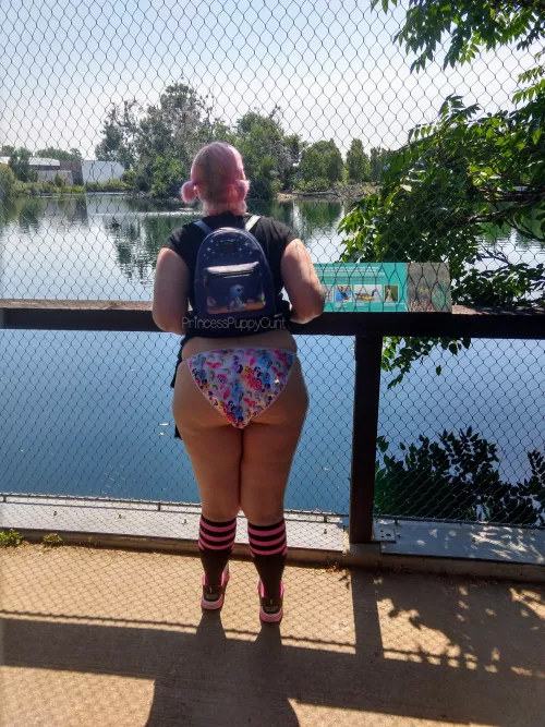 I'm a little animal at the zoo - can you guess which one… [F]