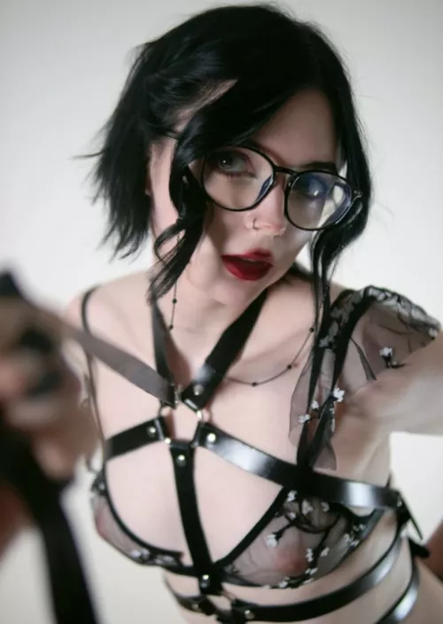 I'm your new pet, what would be your next step?