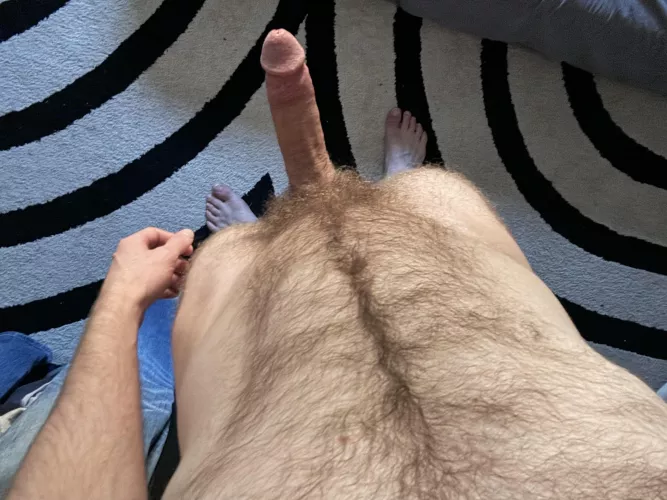 Looking to compare with big hung cocks