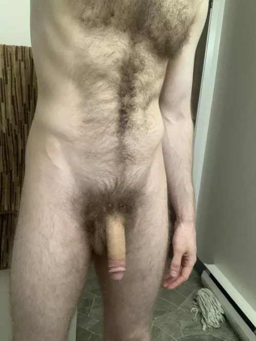 Looking to compare with superior BBC or BWC