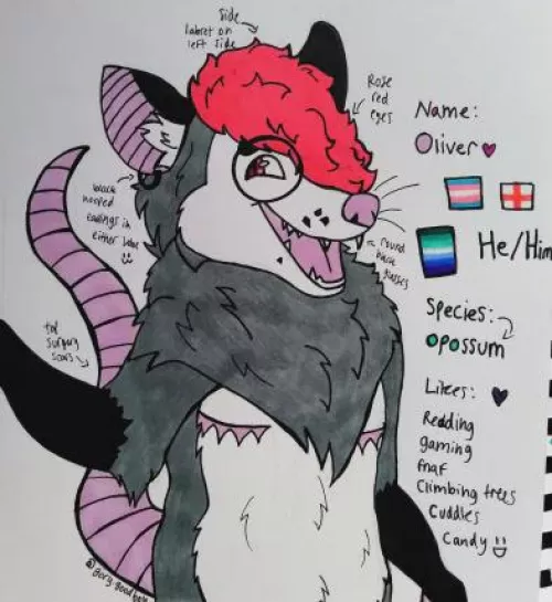 Made a new opossum fursona that it more personal to me :3 <3