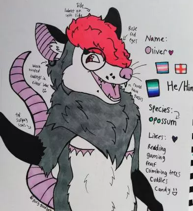 Made a new opossum fursona that it more personal to me :3 <3