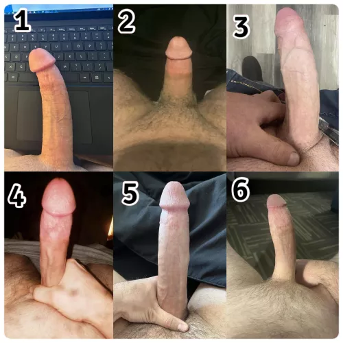 Multi-Cock Compare Collage. Rank these from favourite to least favourite- feel free to rate them too