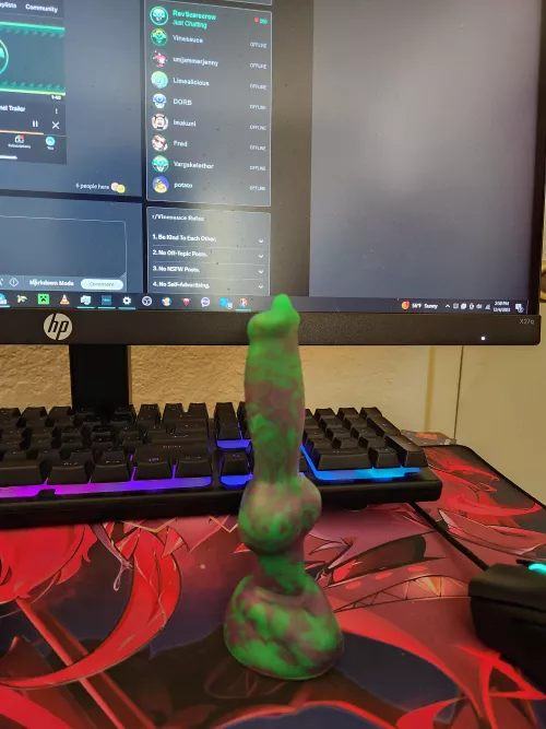 My Mini Rex is now home with me