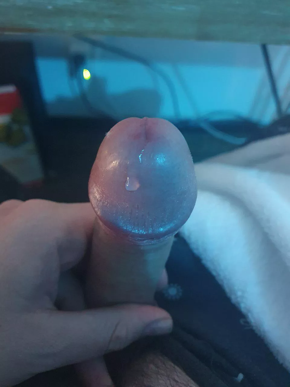 Perfect drop on my head....first post here (M31)