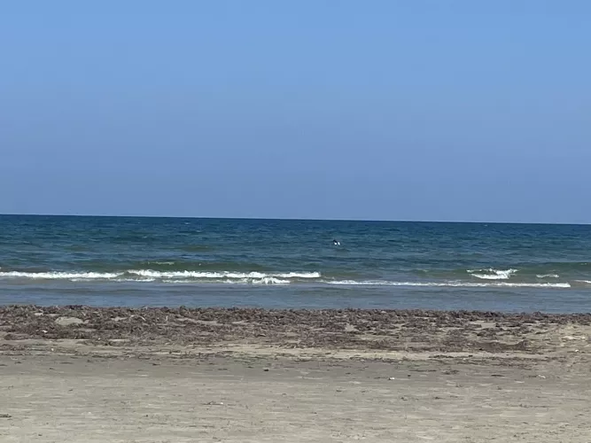Port Aransas Tx