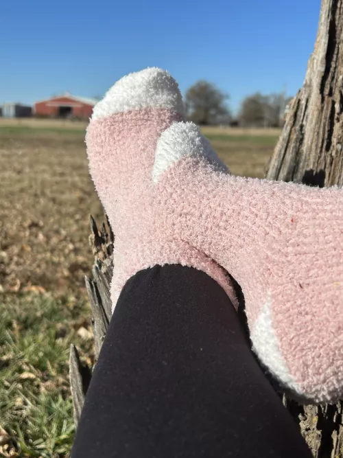 So fuzzy and comfy. Warm toes on this cold day at the farm.