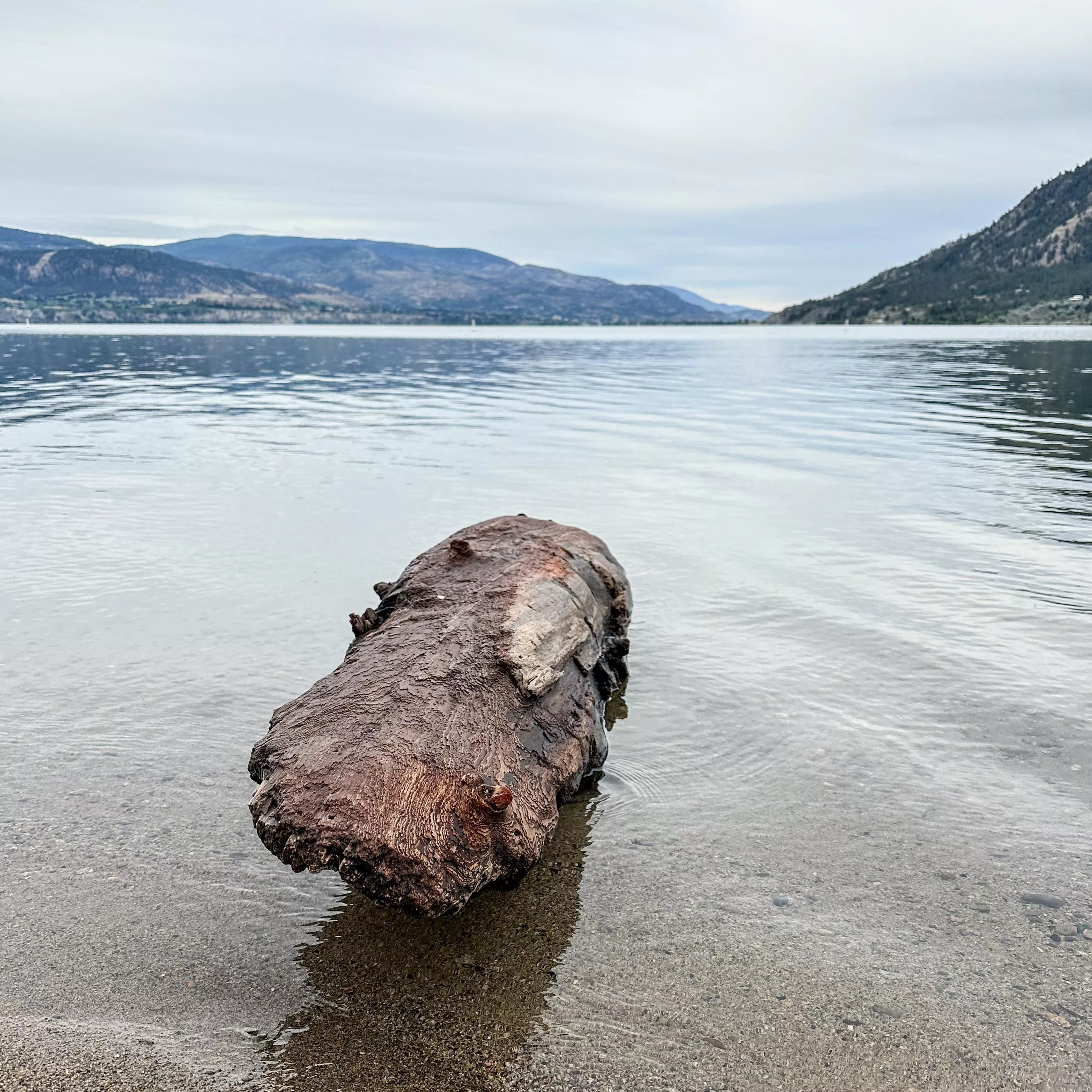 Sunoka Beach, Trout Creek, Okanagan Valley, BC, Canada