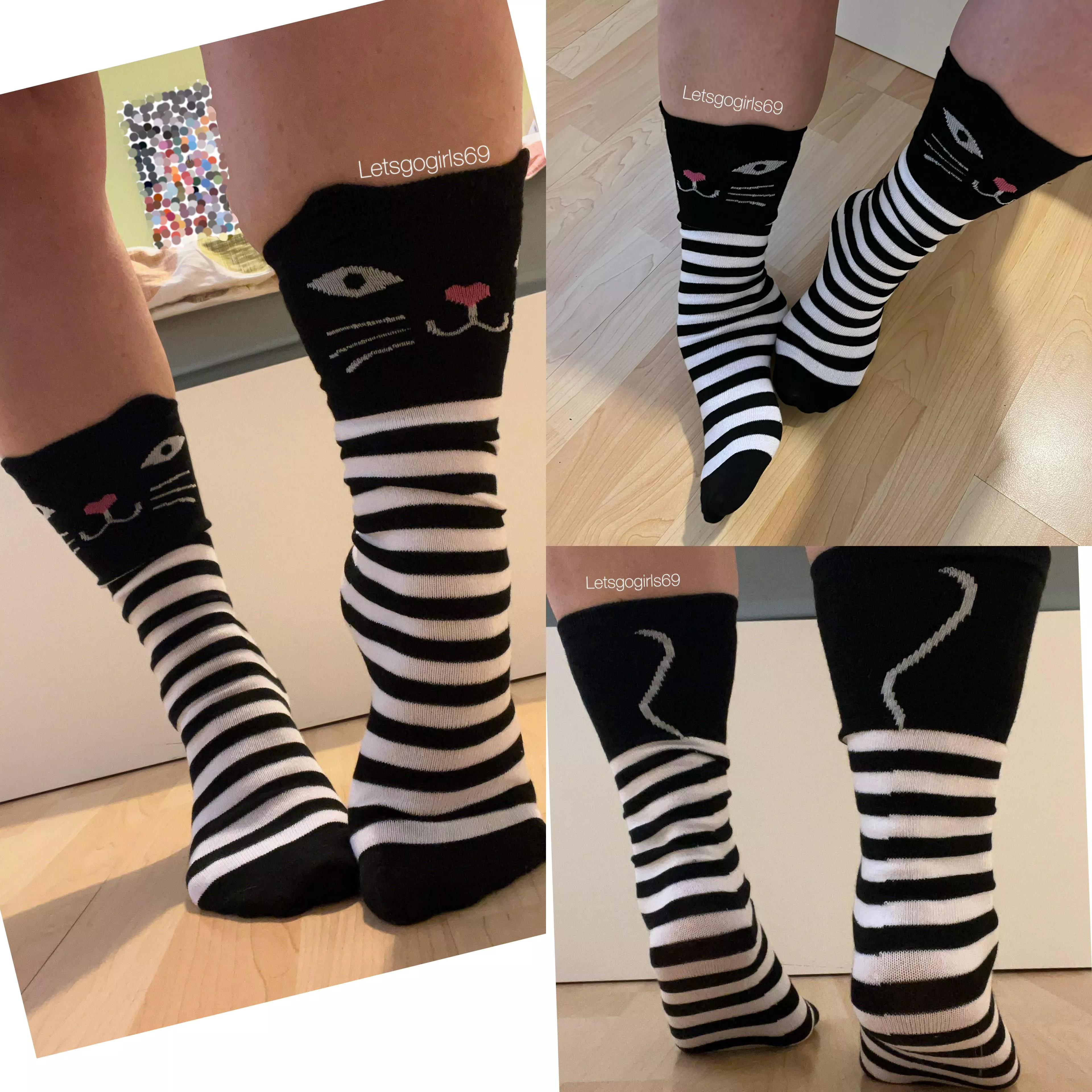 😻they’ve got tails!😻