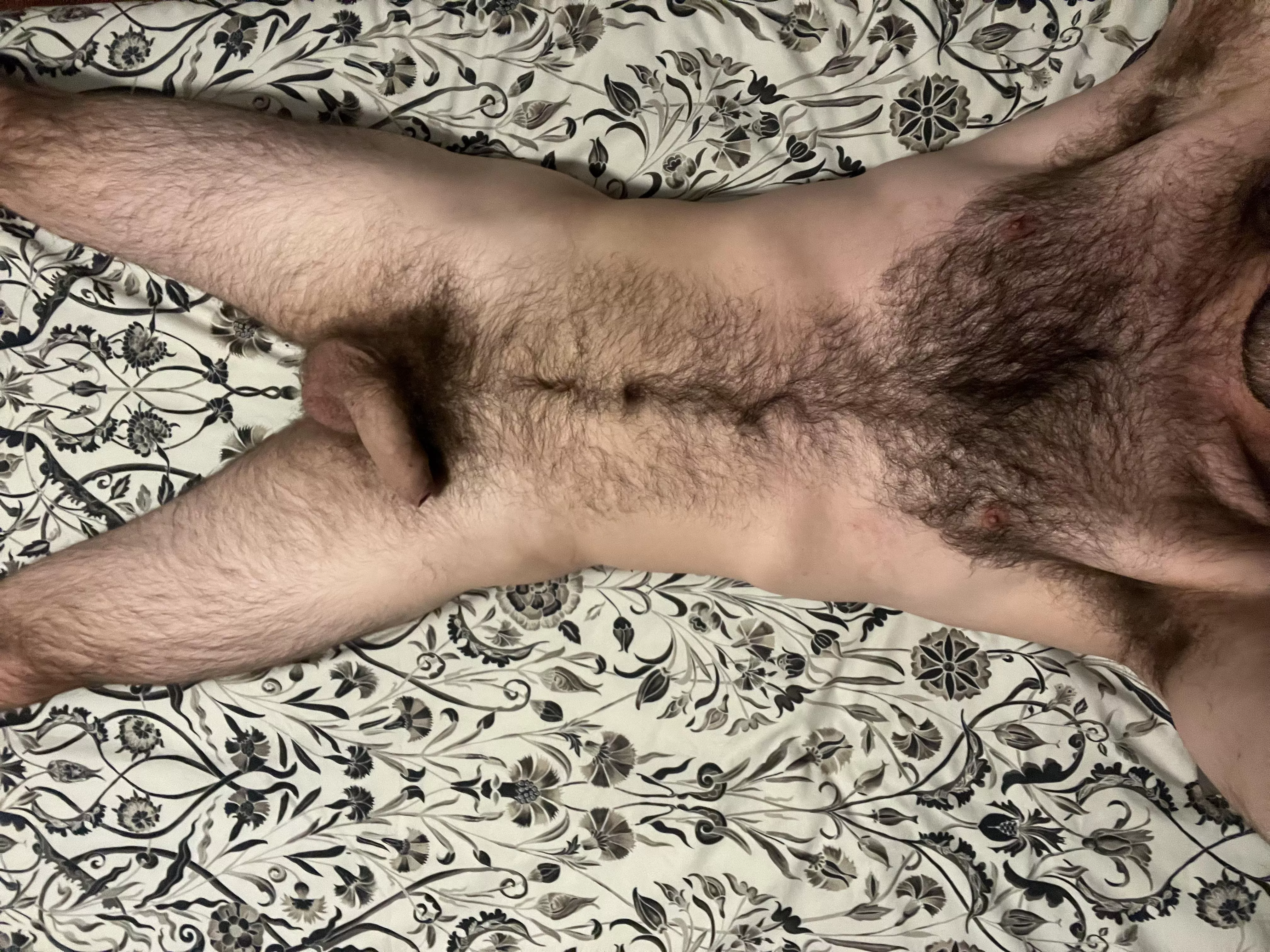 Thinking of trimming a bit, thoughts?