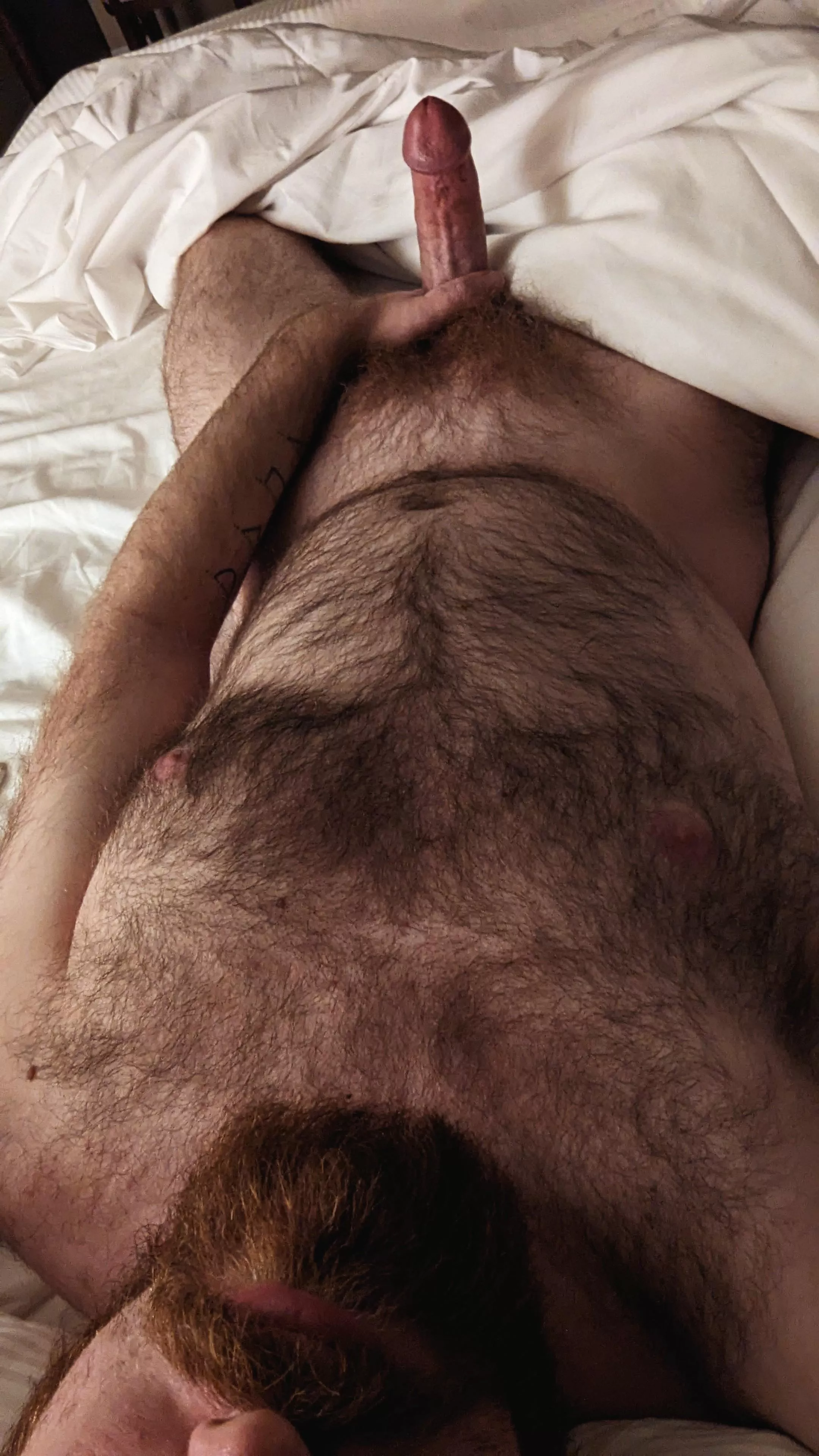 This hotel room would be more fun with another guest