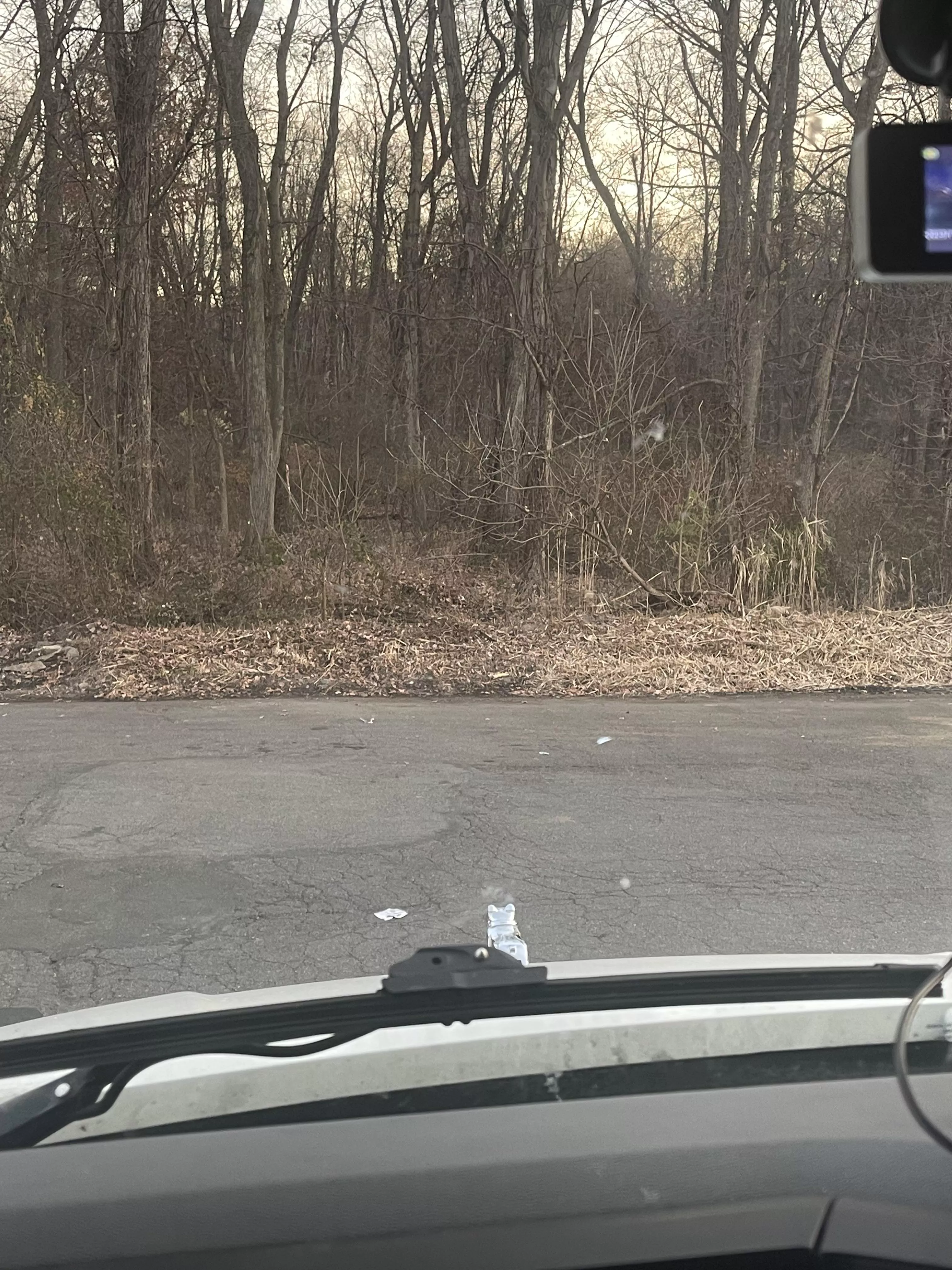 Try Temu you won’t be disappointed