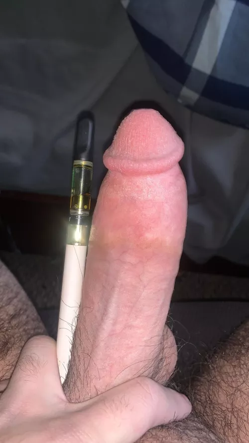 18m, let’s compare