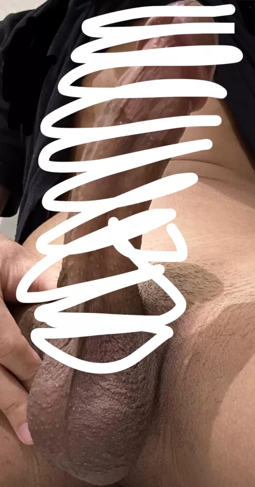 19m looking to compare and bet