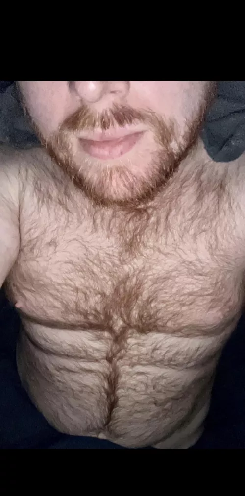 29 Ginger bear dom looking for small dick subs. Into control, underwear, humiliation, public, group, some bondage. Sc: honeybearpgh