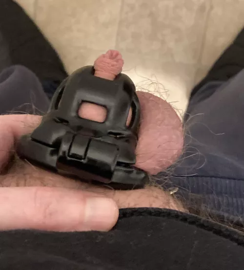 Been forced to downsize to a baby cobra 😭