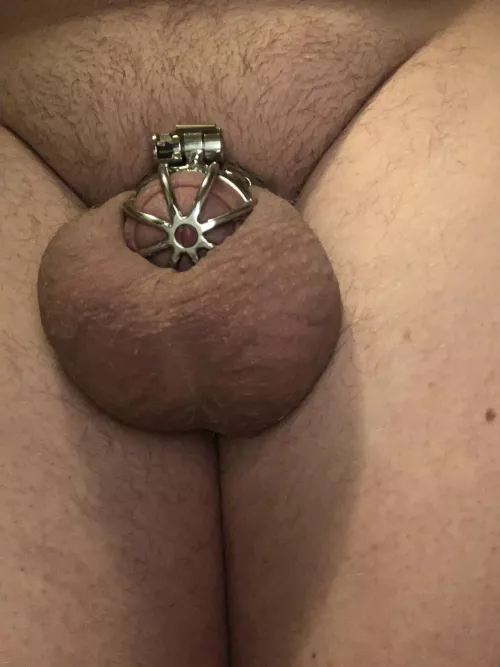Been locked so long my balls are too full to take the base ring off, looks like I’m locked for ever!