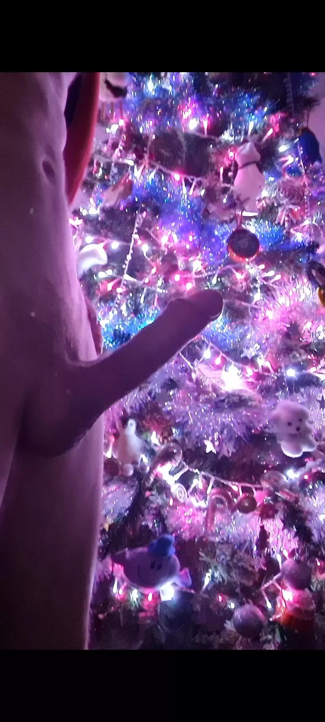 Christmas present anyone? (43)