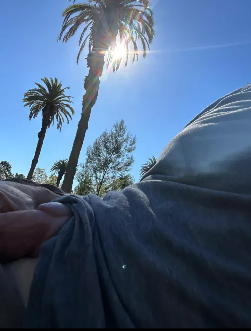 Come find me in the park tomorrow