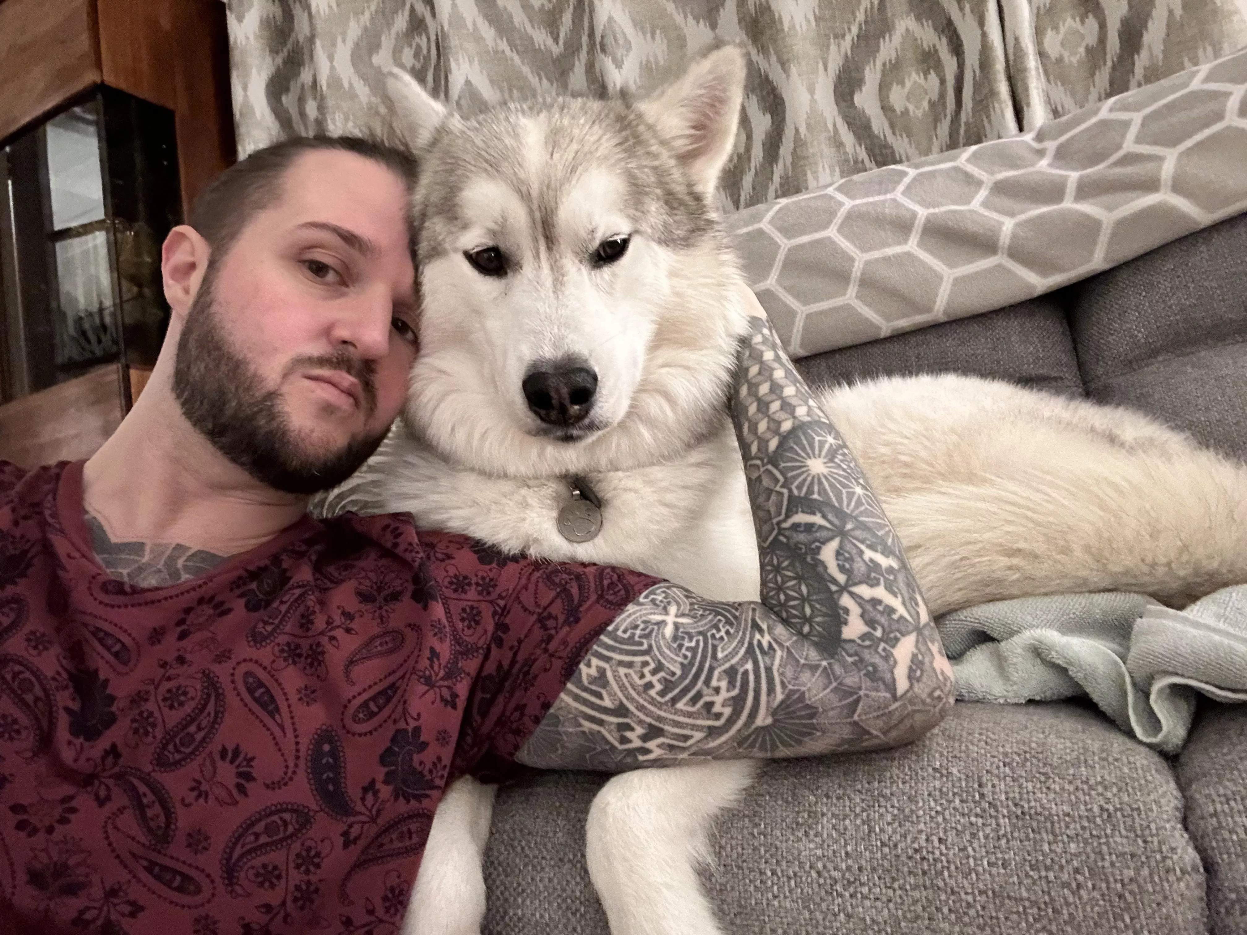 Do we like huskies here?