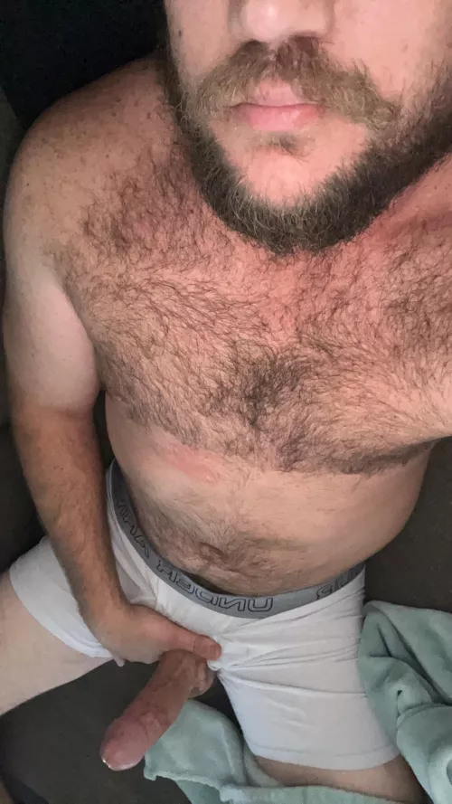Do you like dad bods and big cocks?