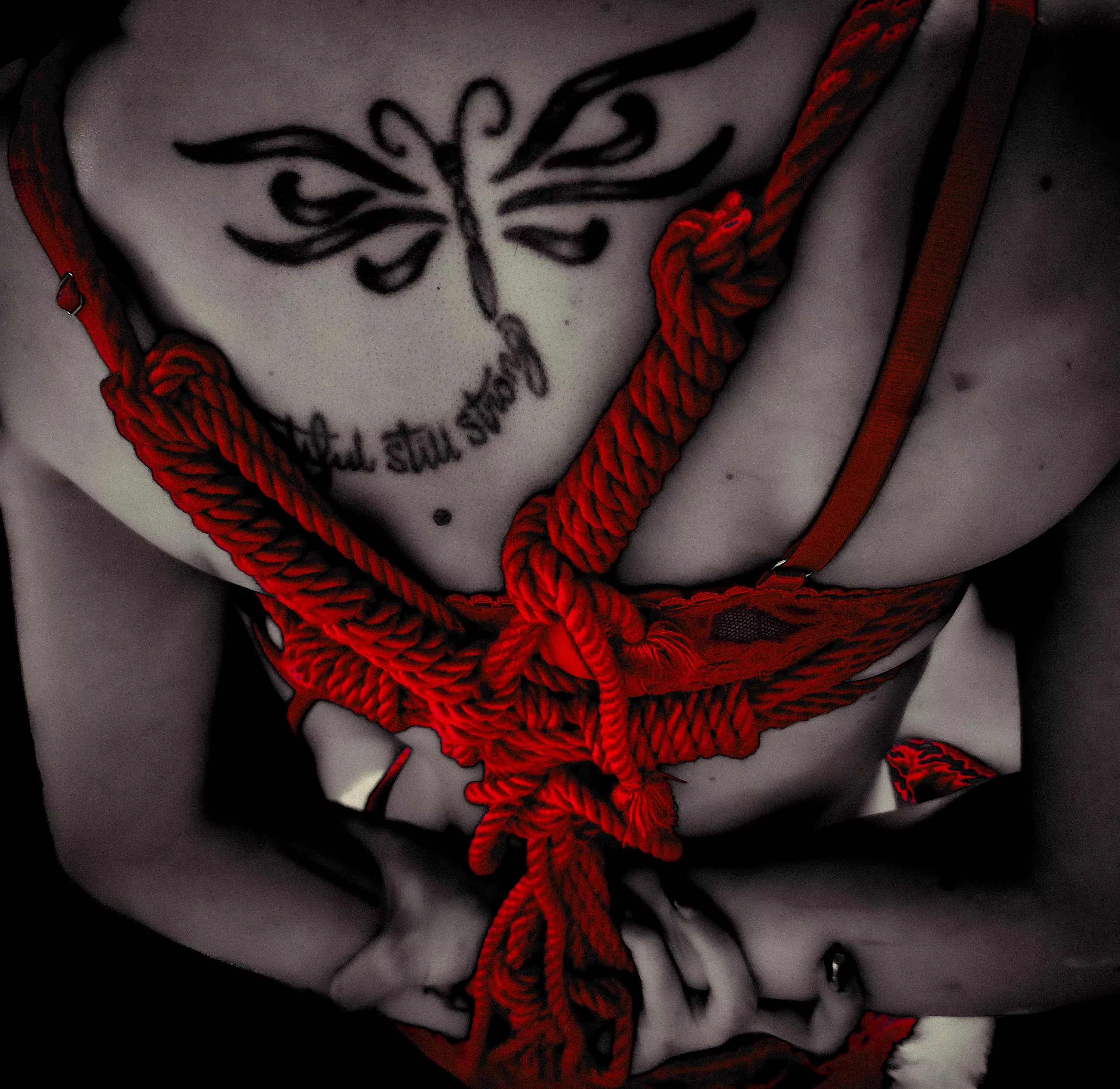 I genuinely don't know at this point if it is the art, or the sensuality, of Shibari that I love more