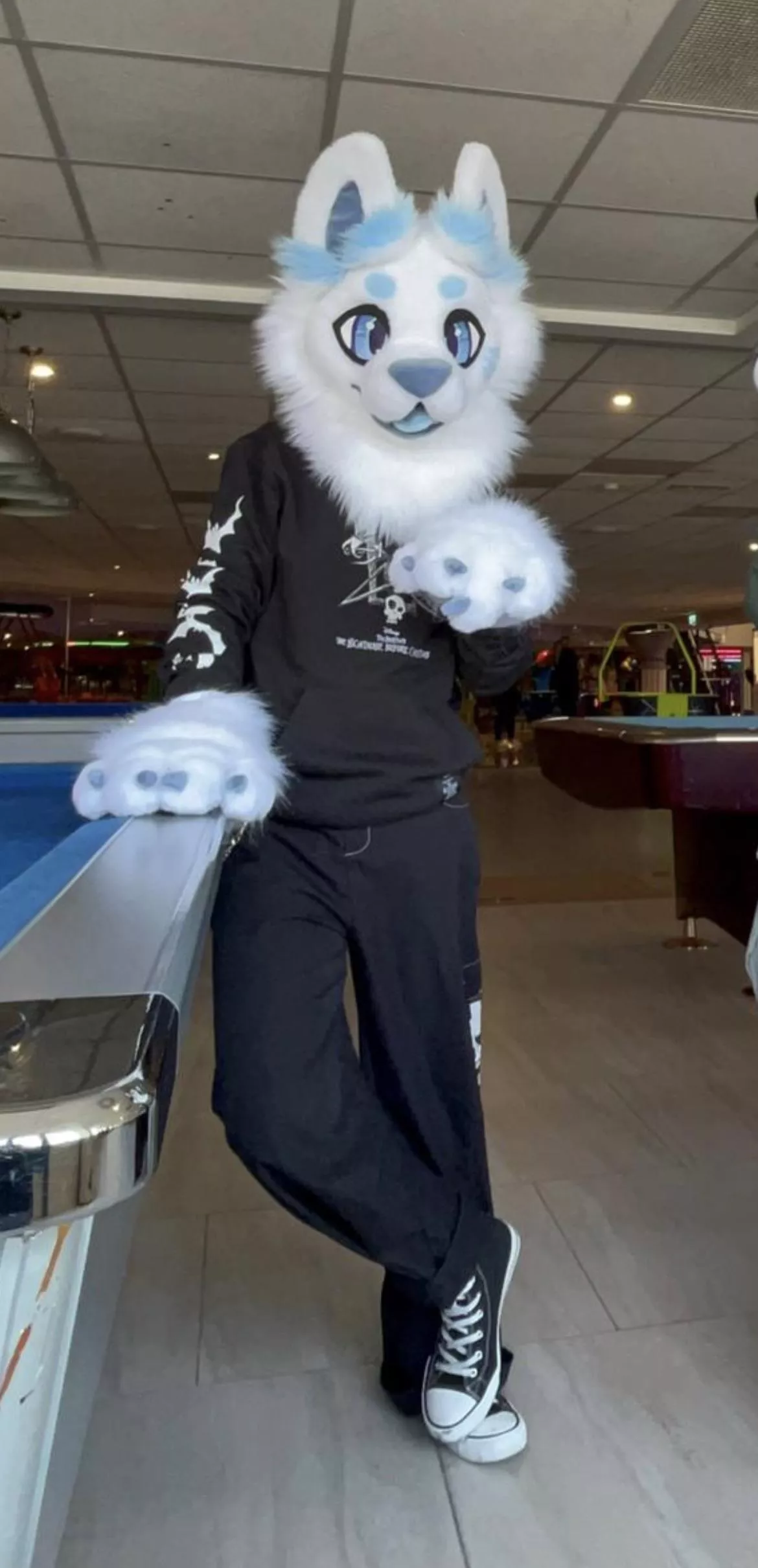 I joined the fandom this year and would love some friends!! Info about me below + my fursuit :p